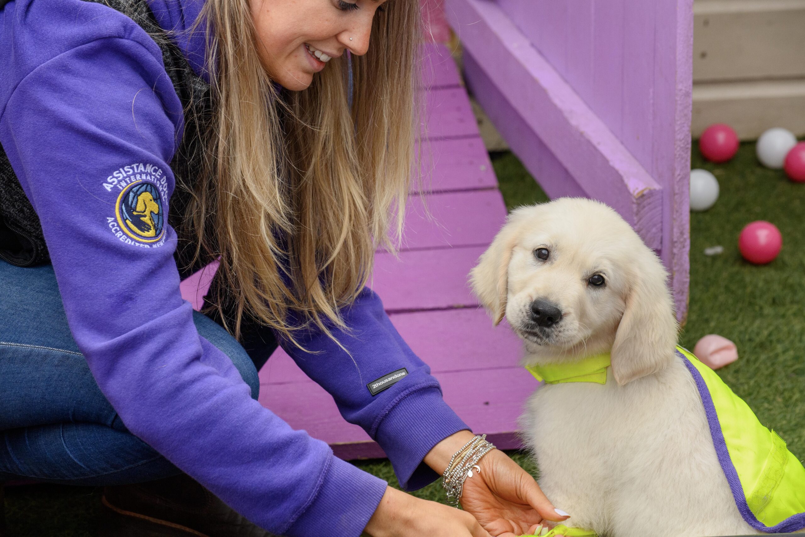 Trainer adjusting a service vest on a puppy